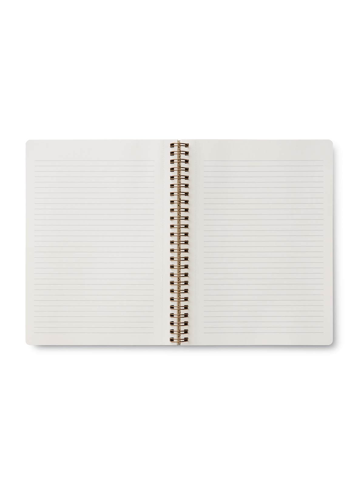 Rifle Paper Co Curio spiral notebook