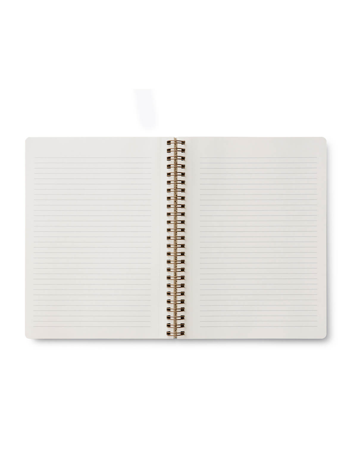 Rifle Paper Co roses spiral notebook